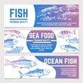 Fish banners. River and ocean sketch fishes seafood packaging vector labels