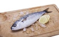 Fish bogue with lemon Royalty Free Stock Photo