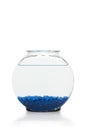 Fish Bowl Royalty Free Stock Photo