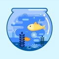 Fish bowl with gold fish in flat style. Round glass aquarium. Vector illustration design Royalty Free Stock Photo