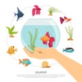 Fish Bowl Hand Composition Royalty Free Stock Photo