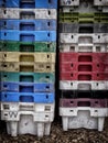 Fish boxes in different colors Royalty Free Stock Photo