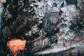 Fish in the boxes of ice in the harbor pier in Iceland Royalty Free Stock Photo