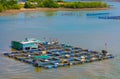 Fish breeding farm in the southern Vietnam Royalty Free Stock Photo