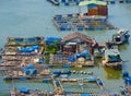 Fish breeding farms in the southern Vietnam Royalty Free Stock Photo