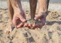 The fish is a bull in the hands. Benthic inhabitant of coastal waters.