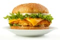 Fish burger Royalty Free Stock Photo