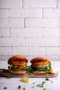 Fish burger with herb and corgette sauce Royalty Free Stock Photo