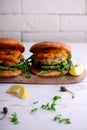 Fish burger with herb and corgette sauce Royalty Free Stock Photo