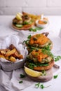 Fish burger with herb and corgette sauce Royalty Free Stock Photo