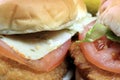 Fish burger seafood sandwich