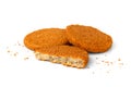 Fish burgers with crumbs isolated on white background. Royalty Free Stock Photo