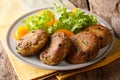 Fish cake patties of canned tuna with fresh vegetable salad clo Royalty Free Stock Photo