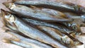 Fish capelin. sea smoked fish close up.