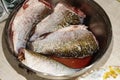 Fish carp, crucian carp, stripped of scales, semi-finished cooking on the grill or coals