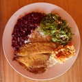 Fish Casado, the typical meal of Costa Rica Royalty Free Stock Photo