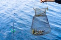 Fish catch in a net box. Fishing hobby and leisure. Silent hunting