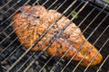 Fish char-grilled over flame Royalty Free Stock Photo