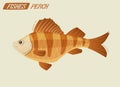 Fish character. Cartoon vector illustration Royalty Free Stock Photo