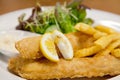 Fish and Chip Royalty Free Stock Photo