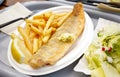 Fish and chips on a plate. Fried fish and french fries on plastic plate in restaurant Royalty Free Stock Photo