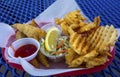 Fish and Chips Plate Oceanside Pier Outdoors Restaurant California