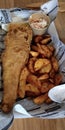 Fish and chips with tartara sauce Royalty Free Stock Photo