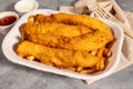 Fish and Chips with tater sauce Royalty Free Stock Photo