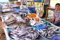 Fish choice on the local market in Khao Lak