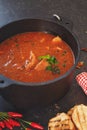 Fish chowder in cast iron pot,close up Royalty Free Stock Photo