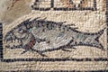 Fish, Christian symbol, mosaic in Euphrasian Basilica in Porec, Croatia Royalty Free Stock Photo