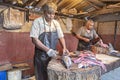 Fish cleaning, Negombo, Sri Lanka Royalty Free Stock Photo