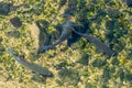 Fish in clear water close up top view Royalty Free Stock Photo