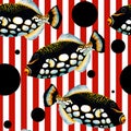 Fish Clown triggerfish on a background of white-red stripes and black circles, seamless pattern, hand drawn watercolor