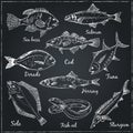 Fish collection Vector