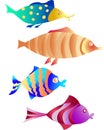 Fish in color