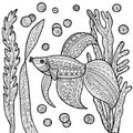 Fish coloring page. Royalty Free Stock Photo