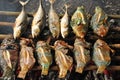 Fish of a coral reef fried on the grill. Java in Indonesia Royalty Free Stock Photo