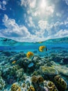 Fish on a coral reef in a tropical lagoon. French Polynesia