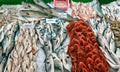 Fish counter in the Turkish city market. Kemer, Turkey