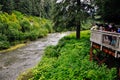 Fish Creek Wildlife Observation site in Hyder, Alaska.