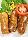 Fish Croquettes with vegetables Royalty Free Stock Photo