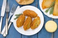 Fish croquettes Royalty Free Stock Photo