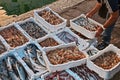 Fish and crustaceans on the quay of the Adriatic sea fishing port Royalty Free Stock Photo