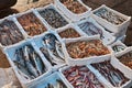 Fish and crustaceans on the quay of the Adriatic sea fishing port Royalty Free Stock Photo