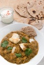 Fish curry meal with chapati flatbread & raita Royalty Free Stock Photo