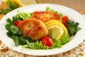 Fish cutlets Royalty Free Stock Photo