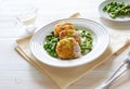 Fish cutlets with green peas and beans Royalty Free Stock Photo