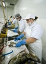 Fish cutters in action Royalty Free Stock Photo