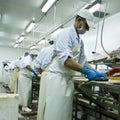 Fish cutters at work Royalty Free Stock Photo